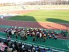 2009国際千葉駅伝
